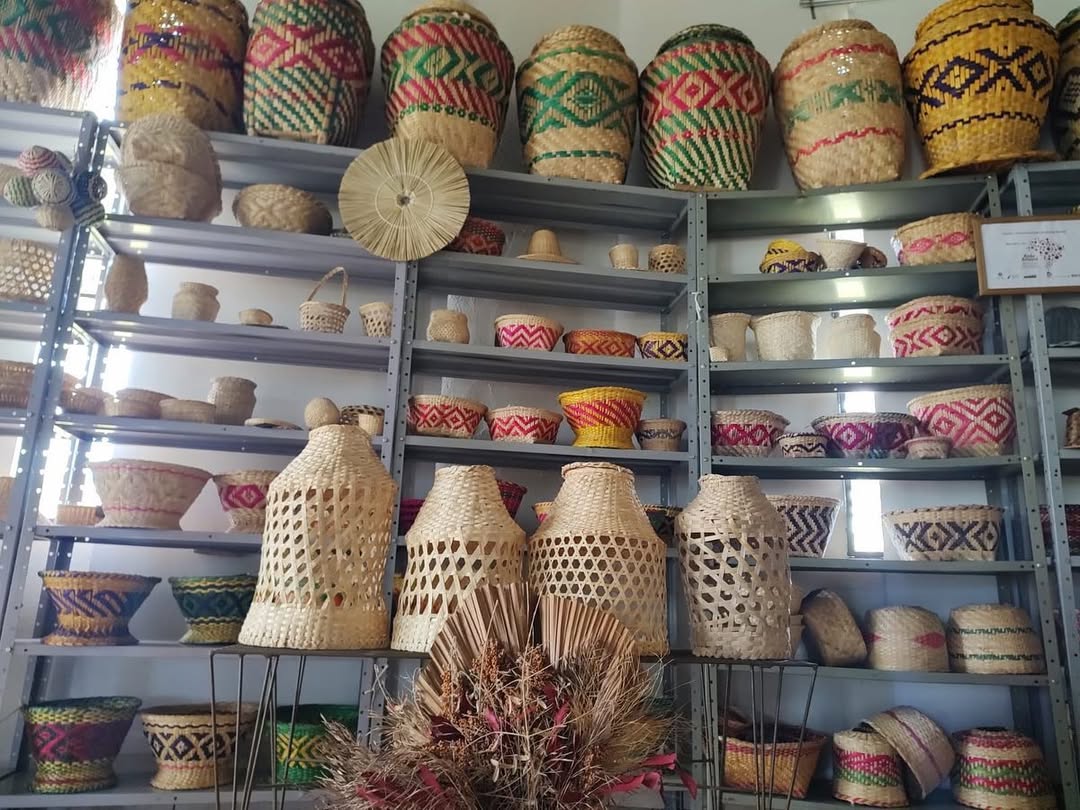 Arte Indígena Brasileira: raízes e identidade